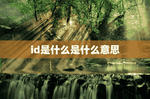 id是什么是什么意思(id是什么意思呢)